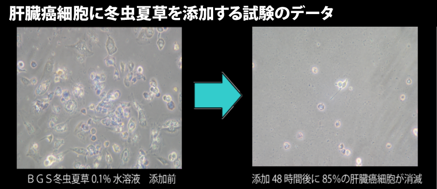 がん細胞活性阻害試験