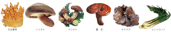 癌に負けない食事　食物繊維