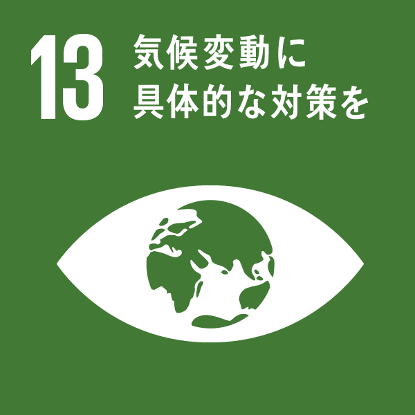 SDGs_13