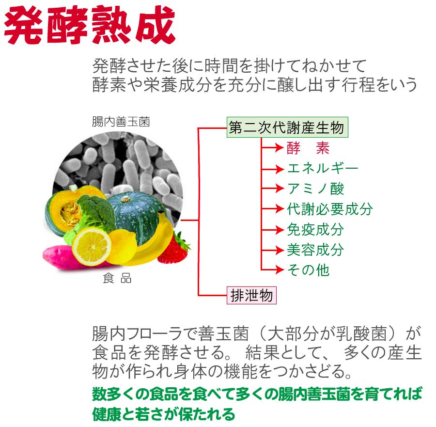 発酵熟成