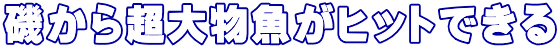 楊貴妃の美学を研究した商品 