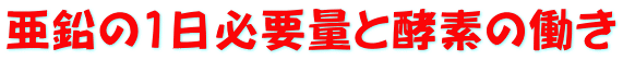 亜鉛の1日必要量と酵素の働き