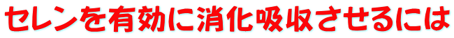 セレンを有効に消化吸収させるには