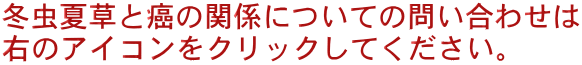 冬虫夏草と癌の関係についての問い合わせは 右のアイコンをクリックしてください。