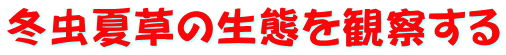 推進員登録すれば全商品が３０％OFF