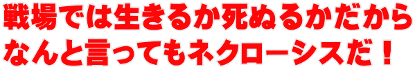 戦場では生きるか死ぬるかだから なんと言ってもネクローシスだ！ 