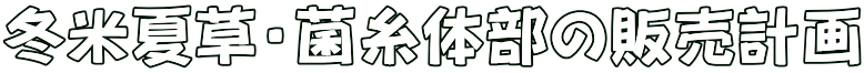冬米夏草・菌糸体部の販売計画