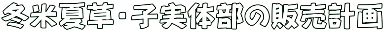 冬米夏草・子実体部の販売計画