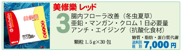 美修楽レッド
