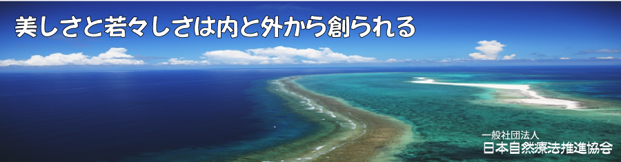 トップ