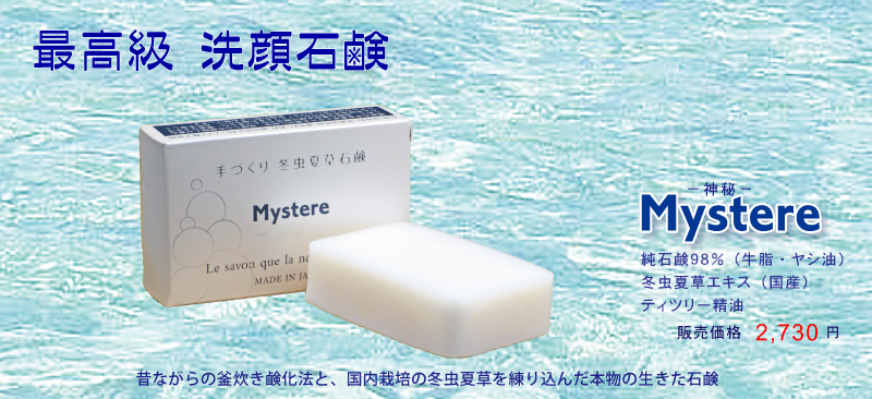 冬虫夏草石鹸TOP