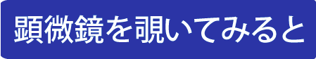 食事革命-1