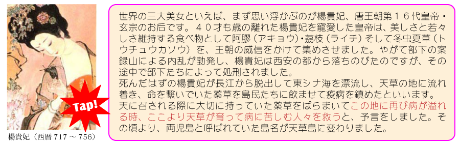 楊貴妃０１