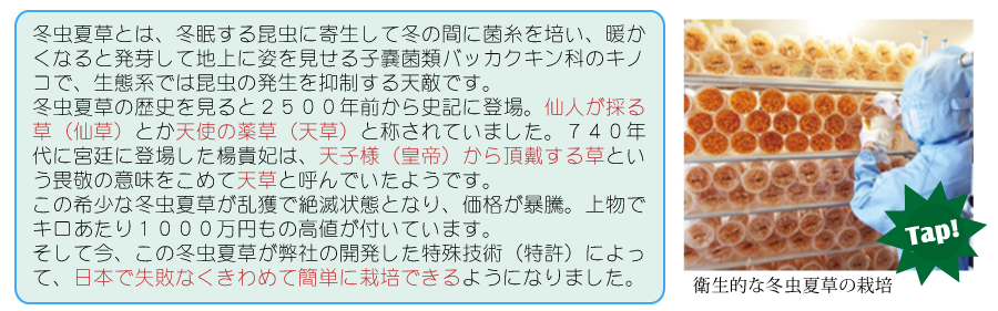 楊貴妃０２